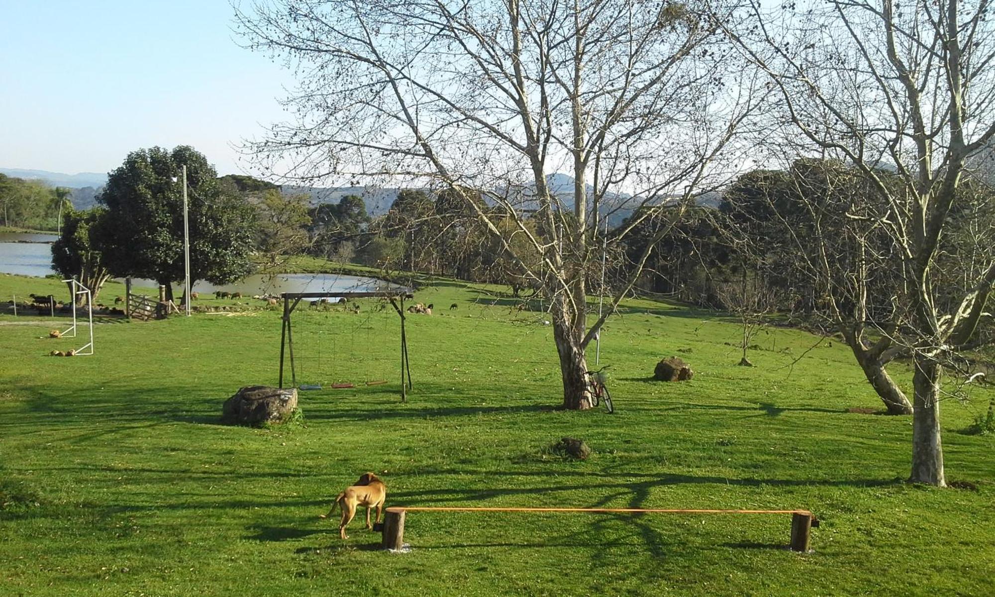 Recanto Dos Pioneiros Nova Petropolis Bilik gambar