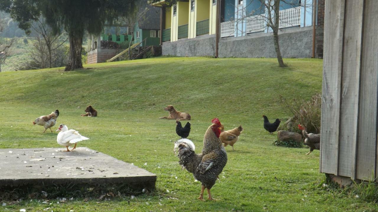 Recanto Dos Pioneiros Nova Petropolis Luaran gambar