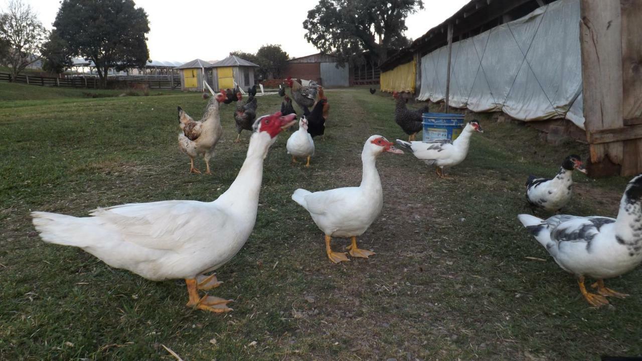 Recanto Dos Pioneiros Nova Petropolis Luaran gambar